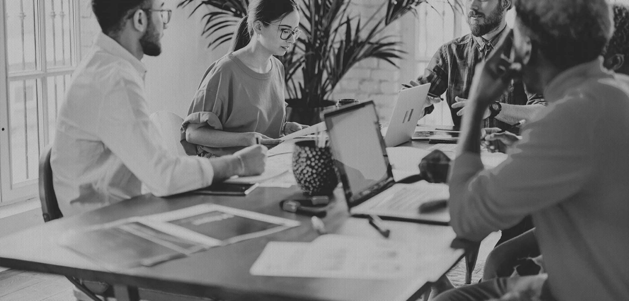 Interaktive Webinar-Session